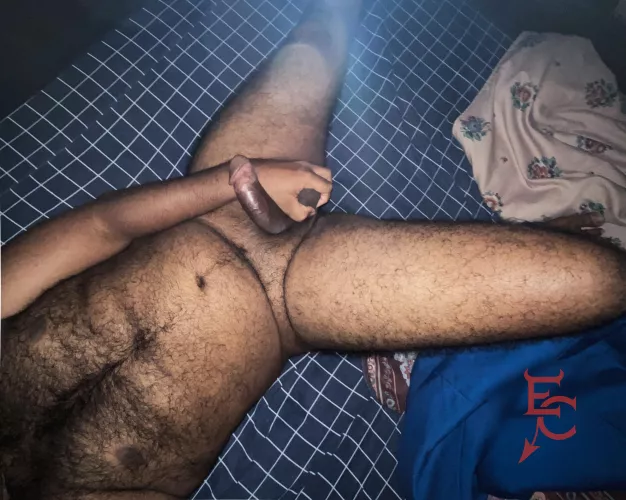 Open Wide and Take This Hairy Thickness 🍆😻🐻