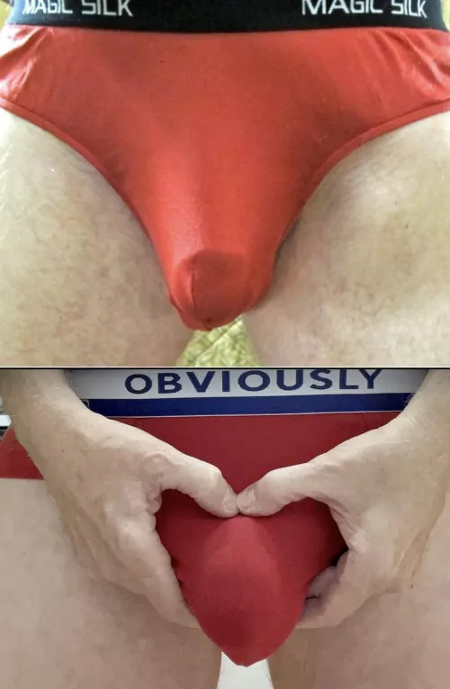 Red Magic Silk Briefs, Red Obviously Briefs