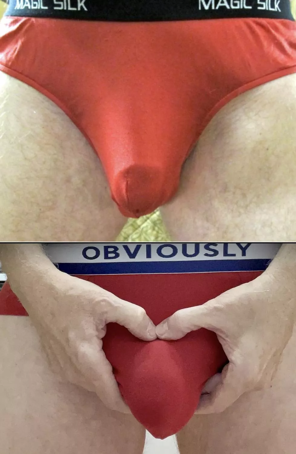 Red Magic Silk Briefs, Red Obviously Briefs