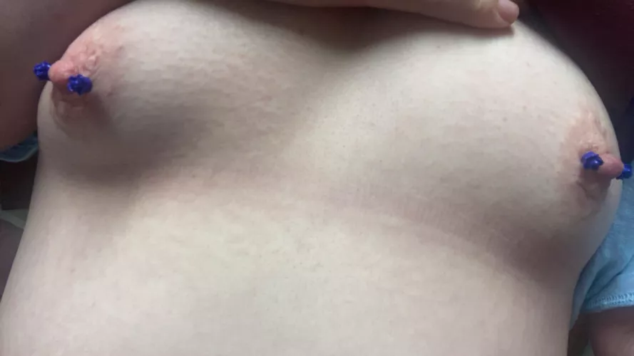 🦋🦋🌹roses are blue violets are too , new jewelry just for you ✨