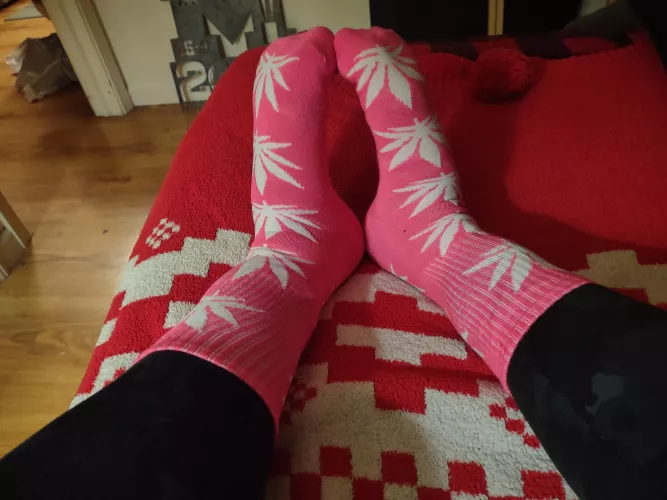 Trying on some new socks, What do you think? 