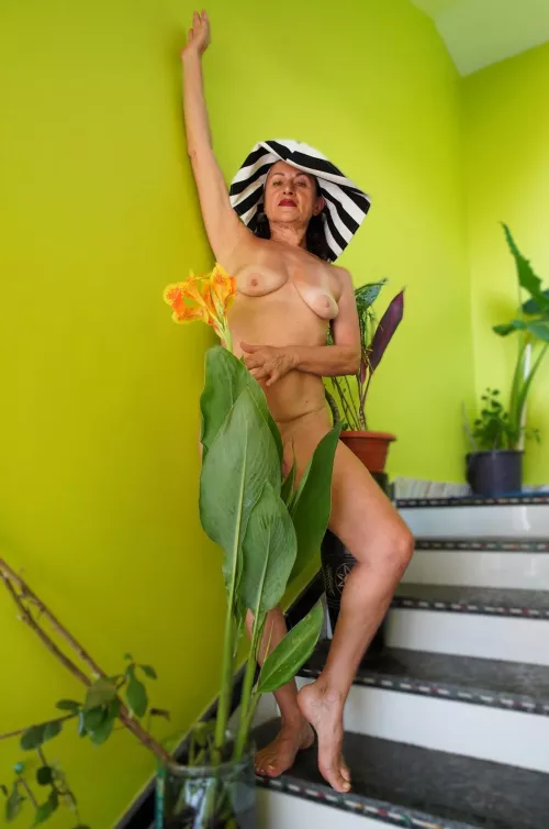 Two flowers. This is the name of my new photo album and new video. Details in my subreddit