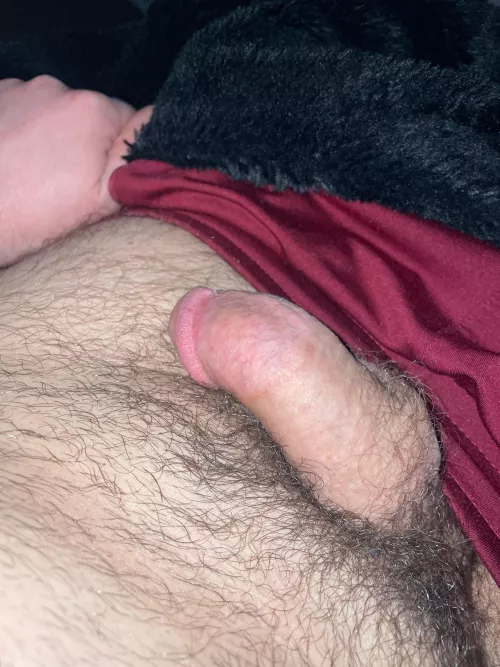Uk West Yorkshire Sausage need to get this ripe party softie hard 😝Age [40]M4M Leeds uk Bi lad into uncut ,Musky lads , Bushy Cock, Men’s Underwear, Seeing lads piss ,str8 curious lads chavs ,vocal ,must Be over 19yo. Snap discodickleeds