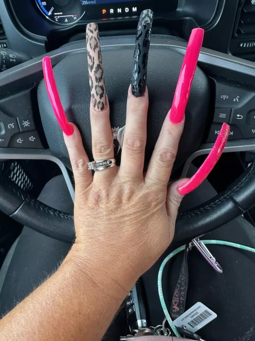 Want your back scratched