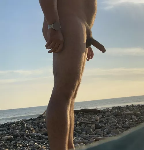 Watching the action at the beach