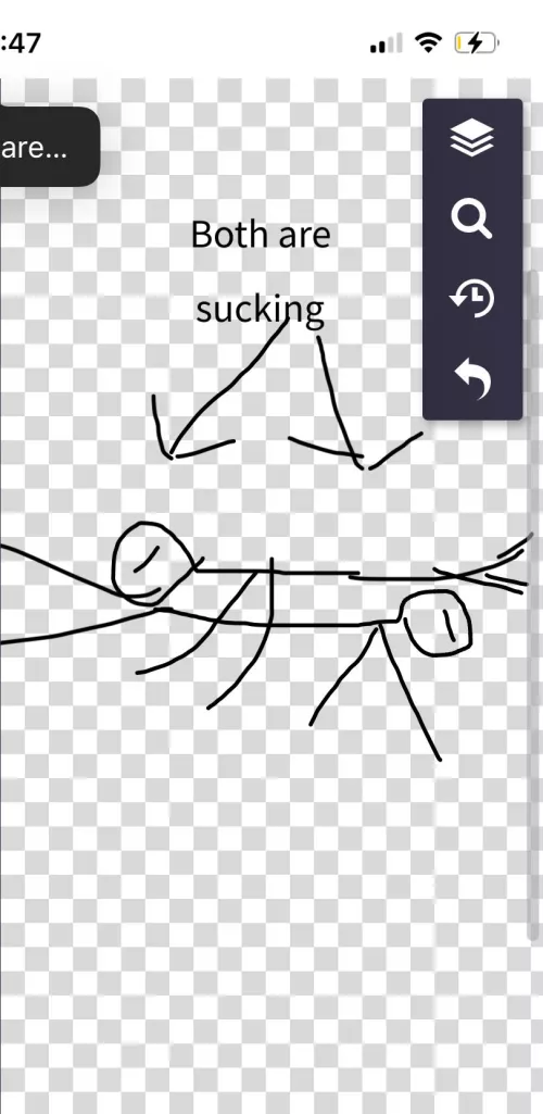 What is this position?(i suck at drawing)