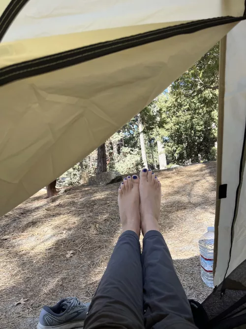 Will you camp with me?;)