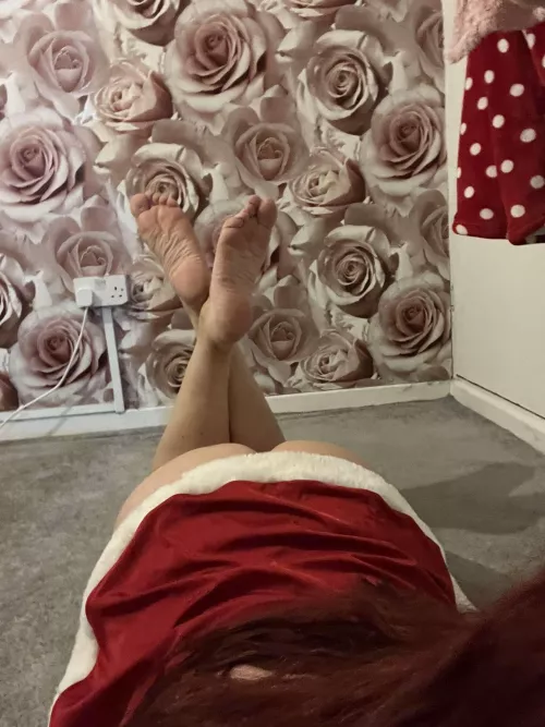 Would you be happy finding me under your tree?