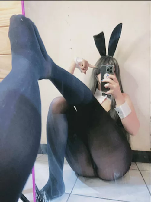 Your Latin bunny girl is here 