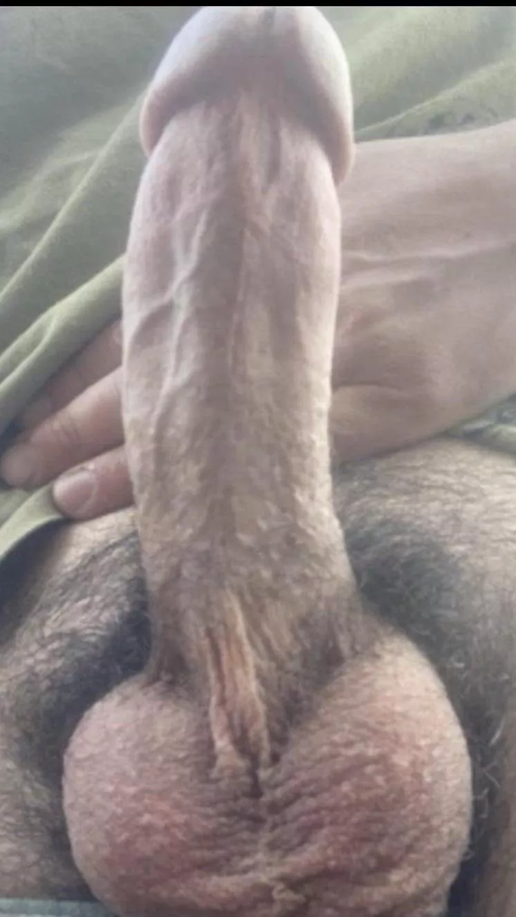 36M 4 Versatile M 25-40 or MF tonight , you host 