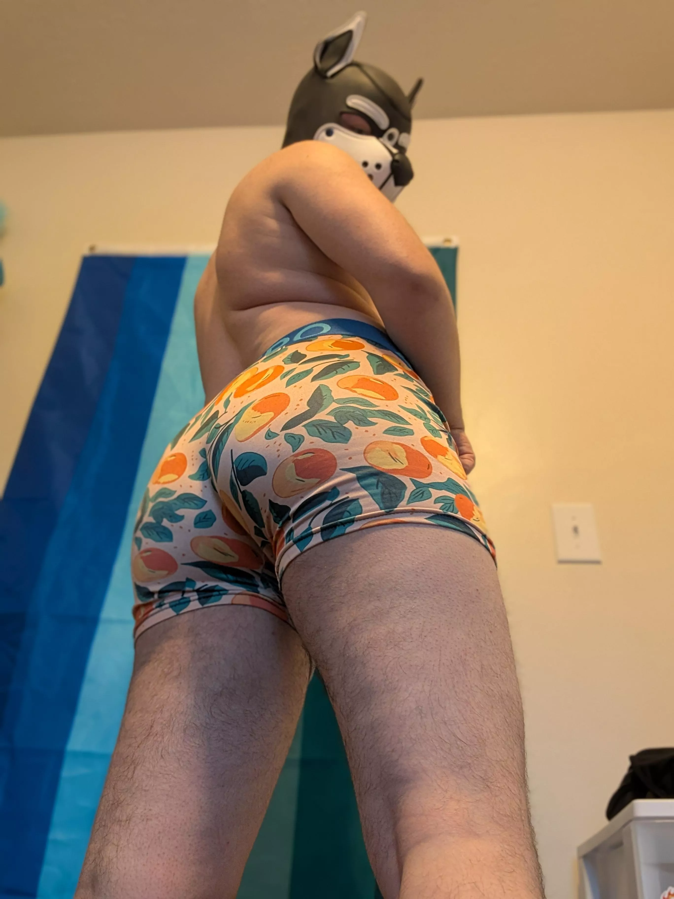 Awuff! Fresh out of the shower and this pup is feeling a little peachy~ 