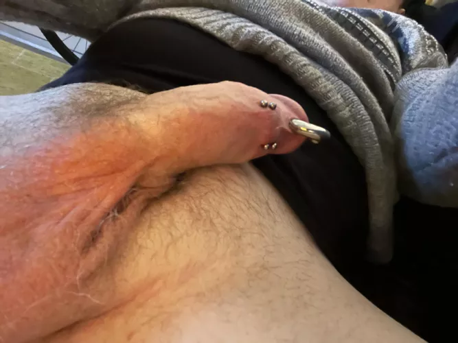 Brand new frenum piercings to go with my pa!