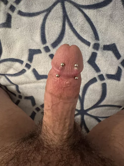 Double Dydoe piercings