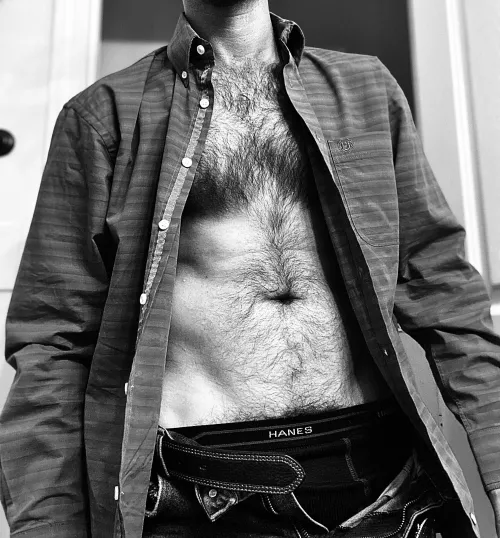 Experienced hung bull 