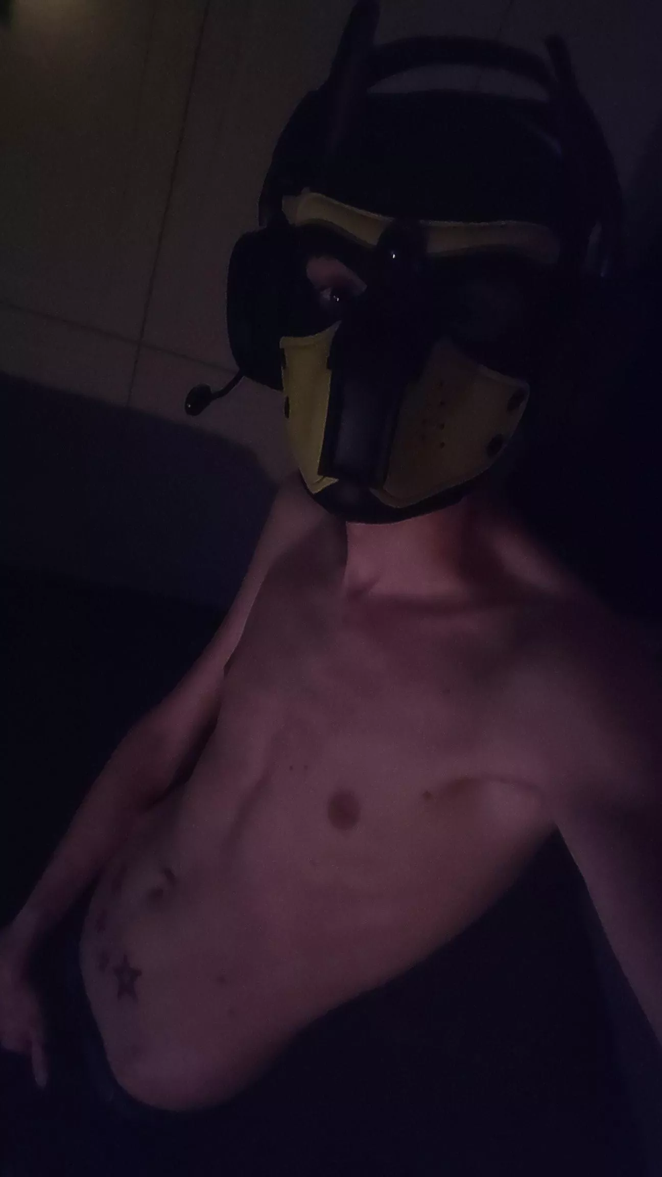 Gamer pups allowed? 😇