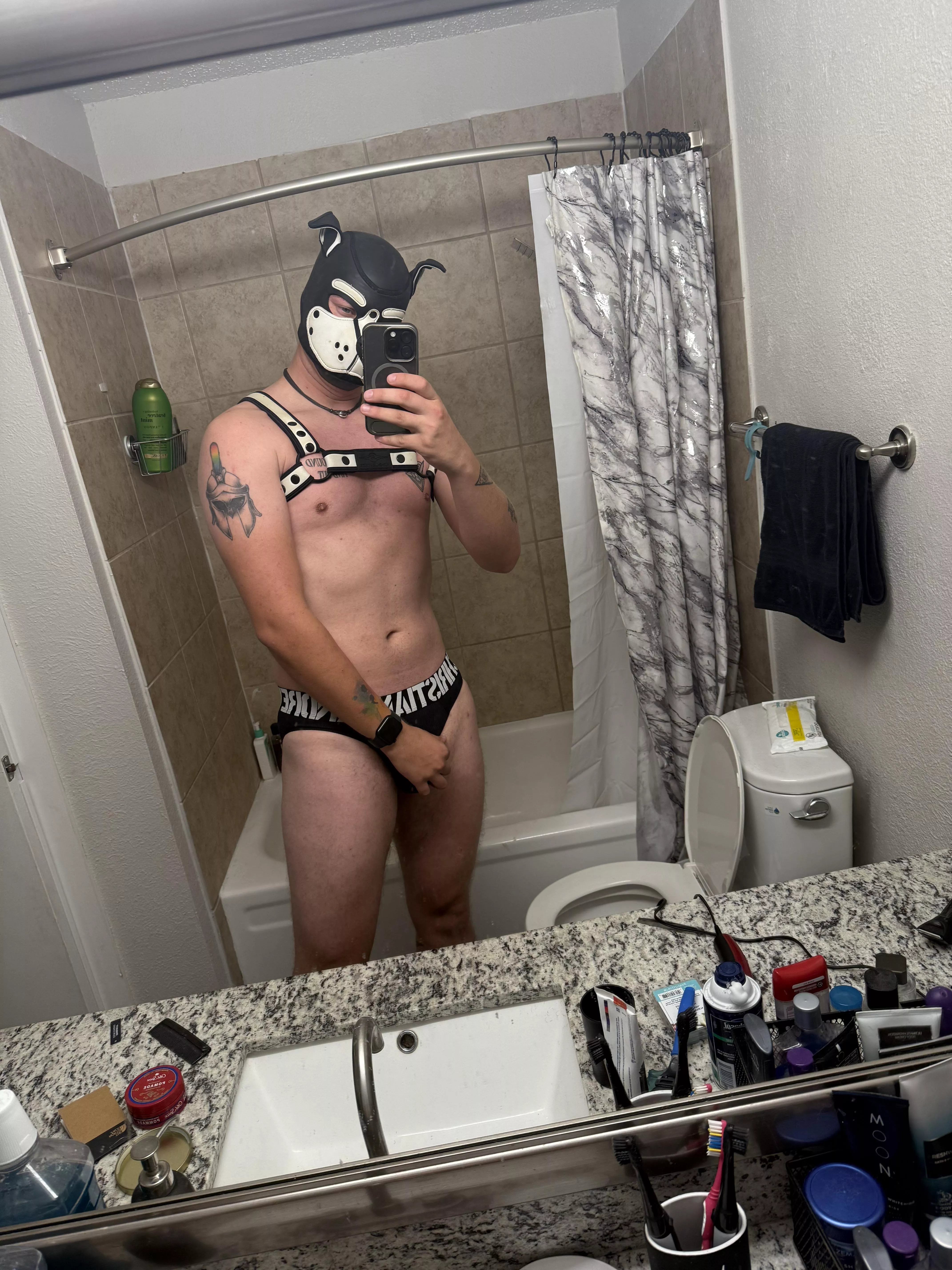 Howdy pups! first post on a new account 