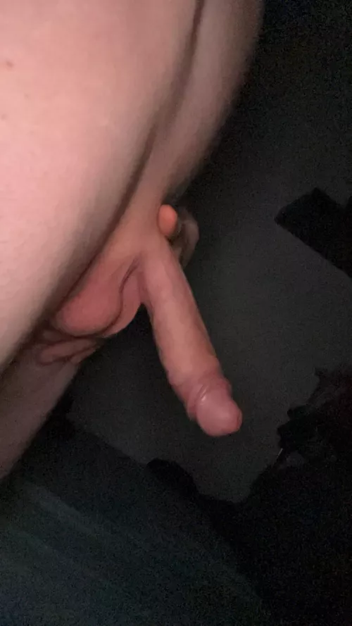 Hvad syntes folk om en stor ung pik?