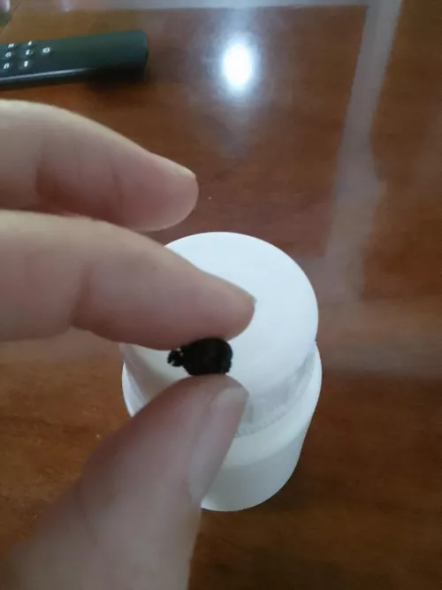 I collect this after a clean up. Is enough to eat and get high?