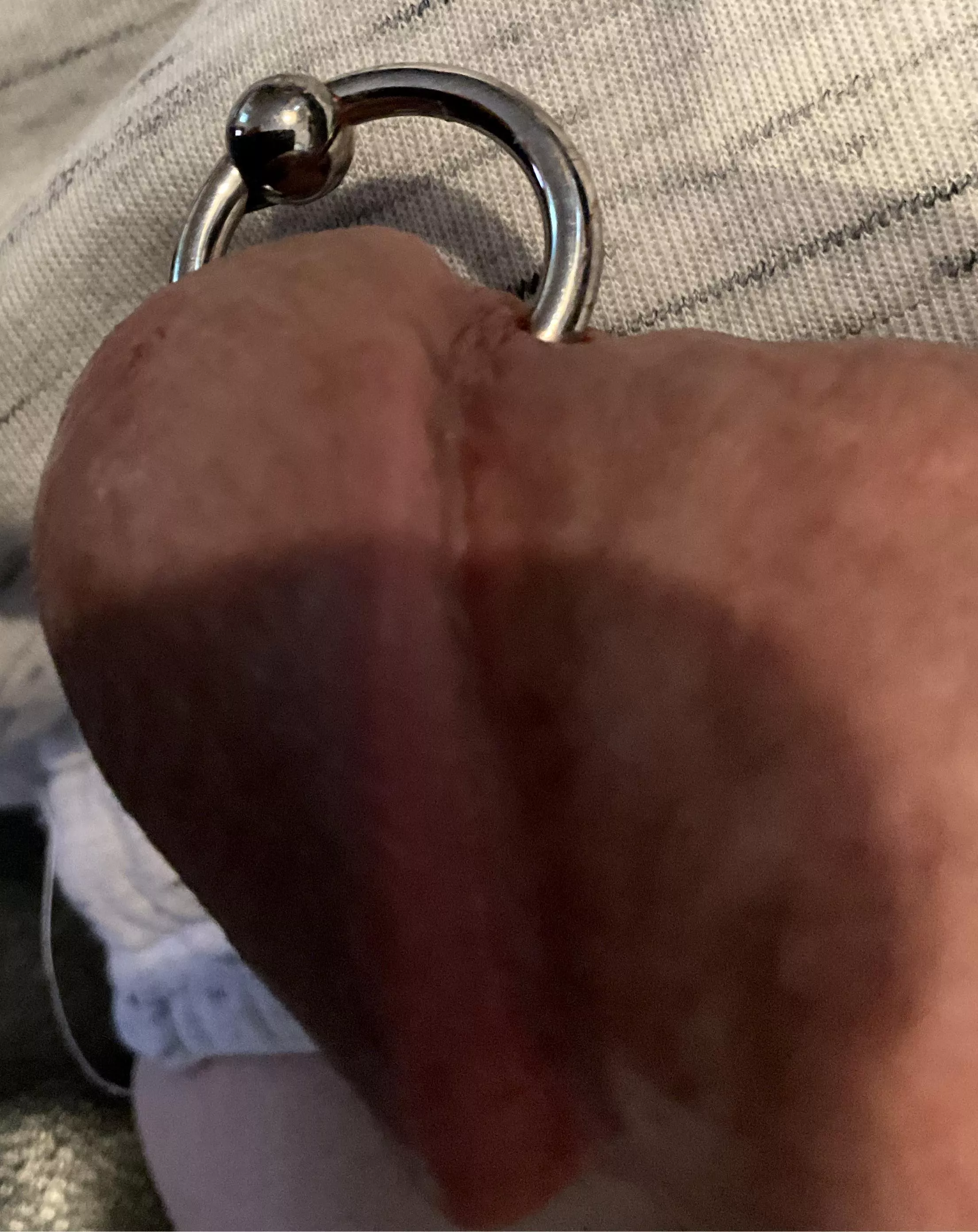I  joined the club. pierced at 10 ga and immediately stretched to 8. 