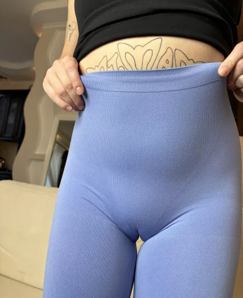 Is camel's paw sexy or not