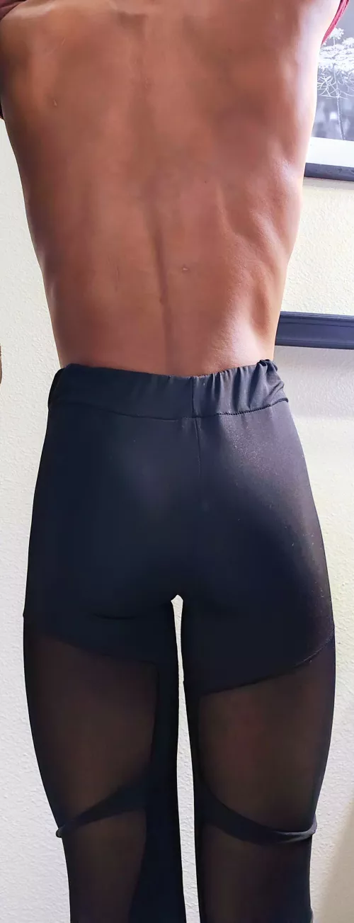 Just posting to say I'm alive