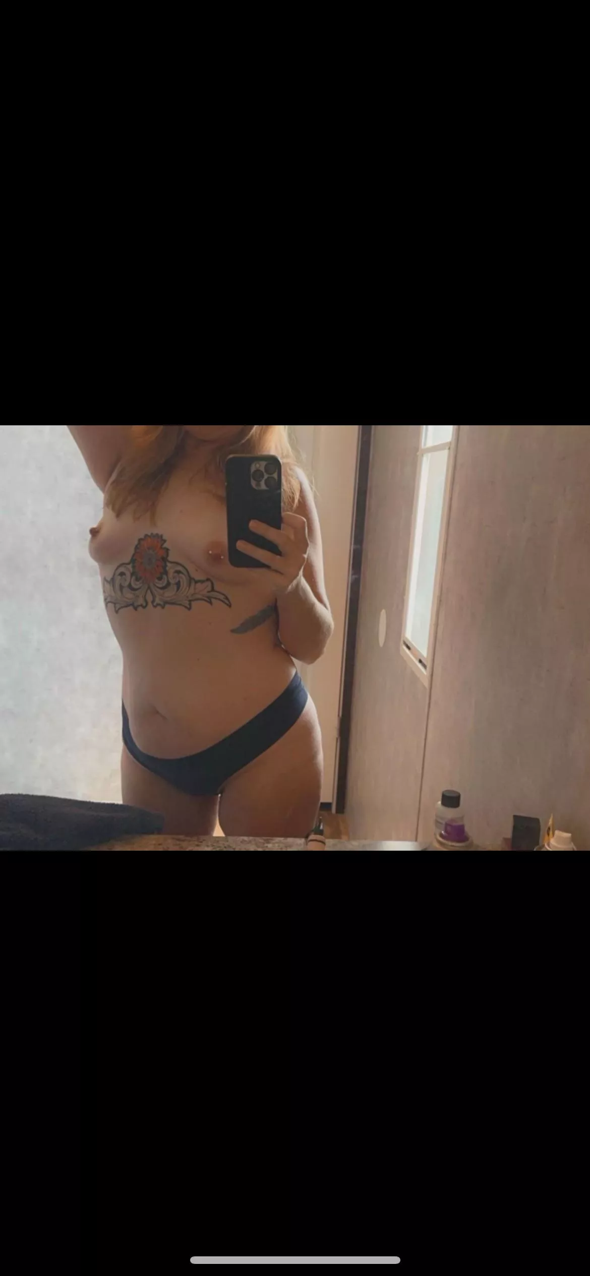 Need a bull