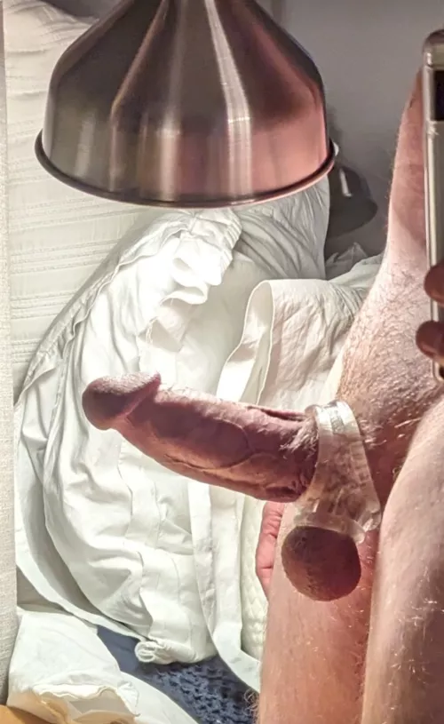 Never had a guy suck this cock, who's first?