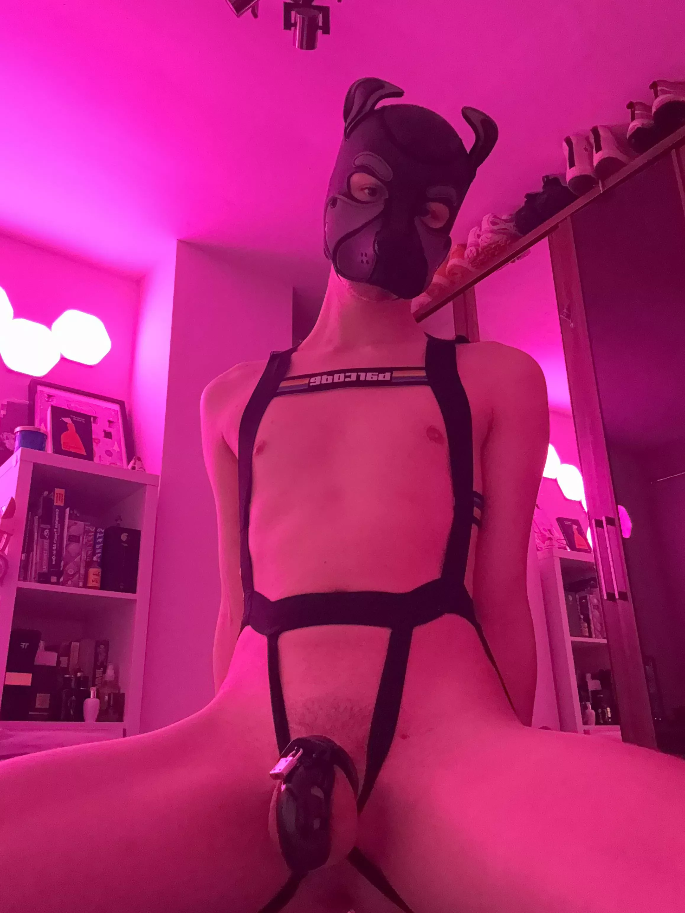 On this sub’s recommendation I got a tighter cage… was I good 🥹