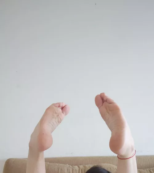 Paws on my shoulder so you can lick my soles [oc]