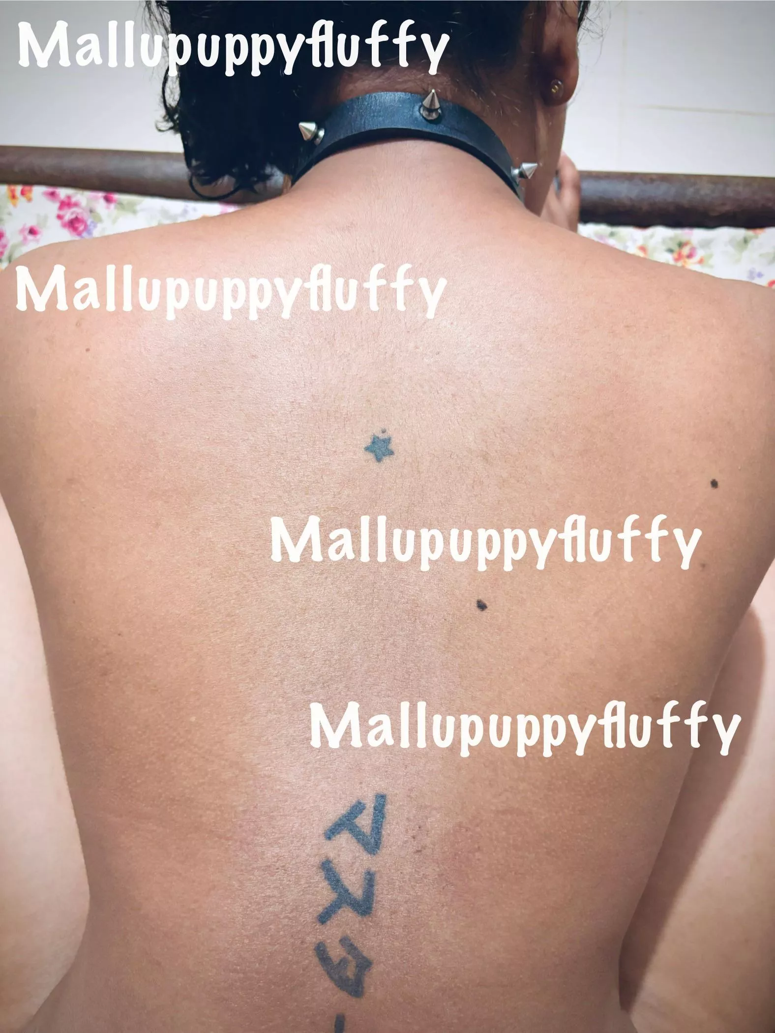 Princess Fluffy[F]