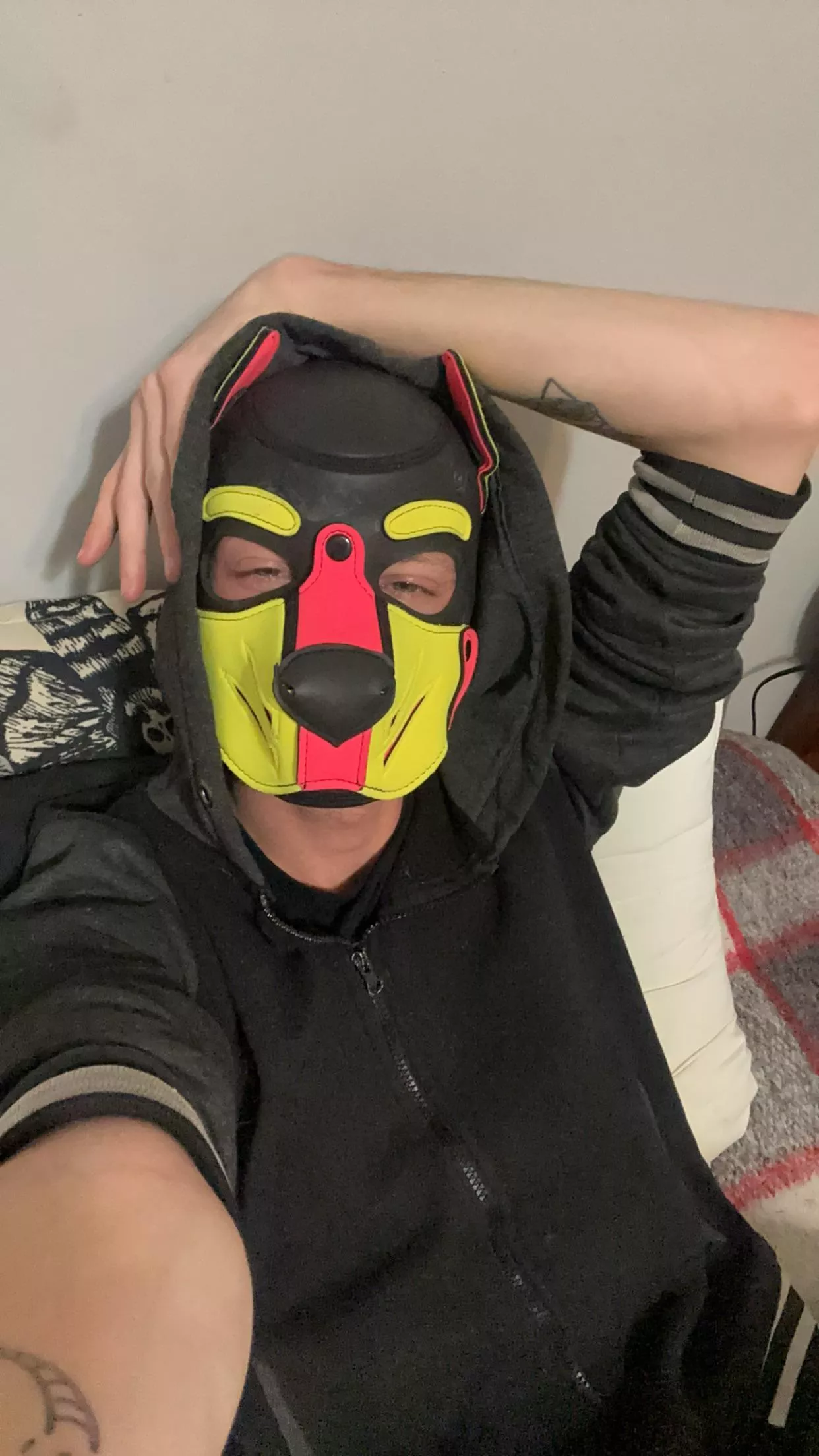 Pup Syber has made his Reddit debut! :0