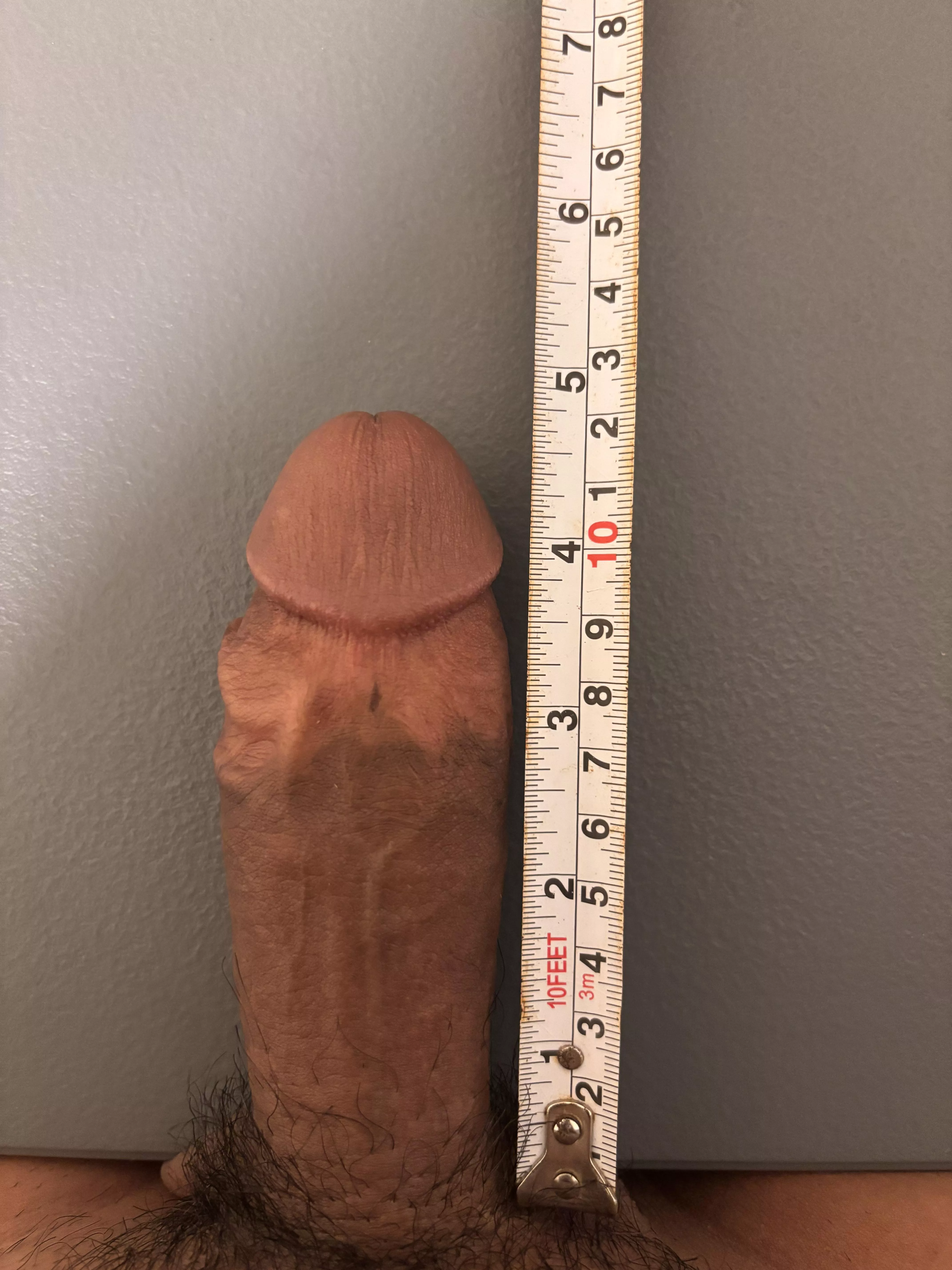 semi erect pa