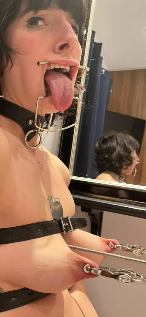 stretch those udders