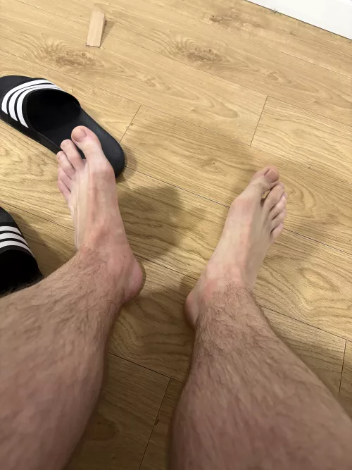 Why do so many people hate male feet?