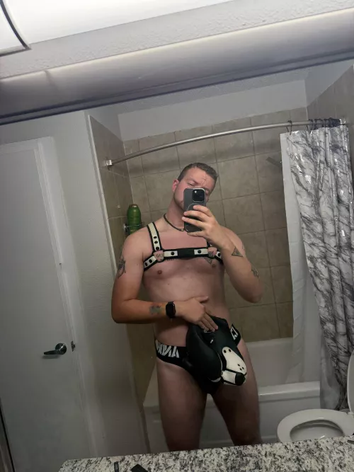 Would you lay on this pups chest?