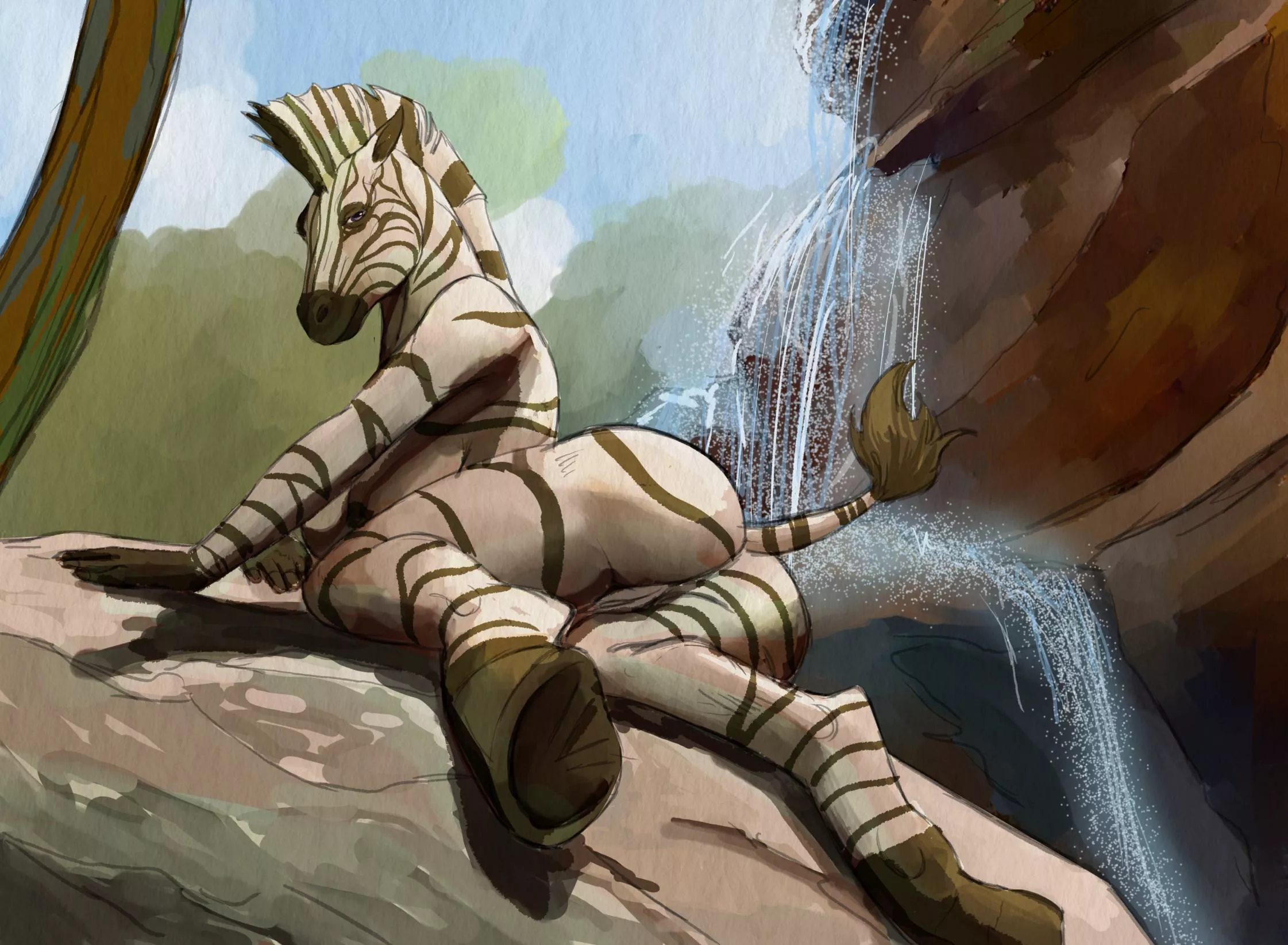 zebra falls (hattonslayden) [F]