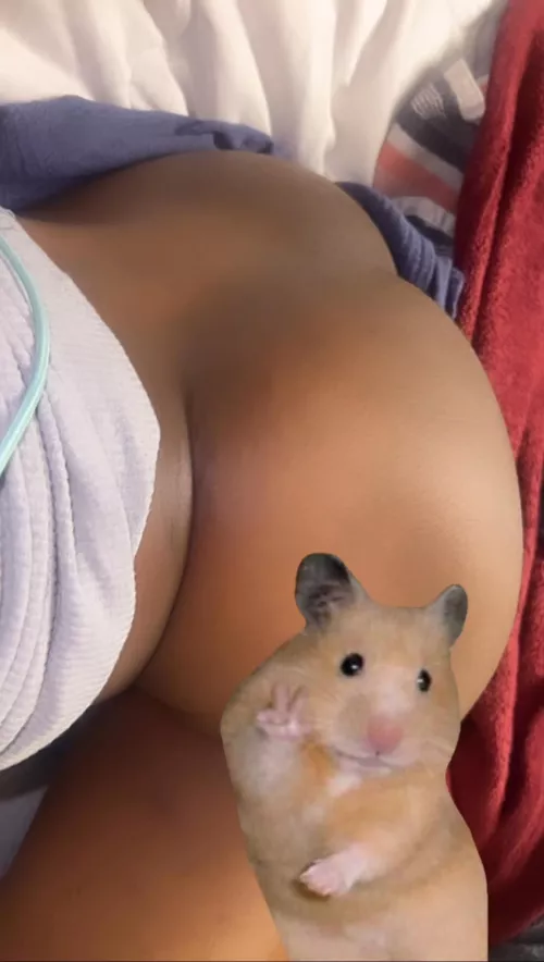 20 [f4m] #maryland- let me send attachments to your phone $$