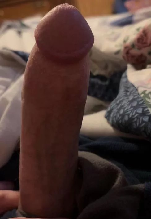 26 male needing my balls drained 