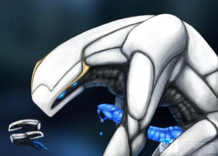 (8i ll lon) [M] it's funny how sometimes you can tell when a pet is about to do something bad. anyway, check out this Man day post