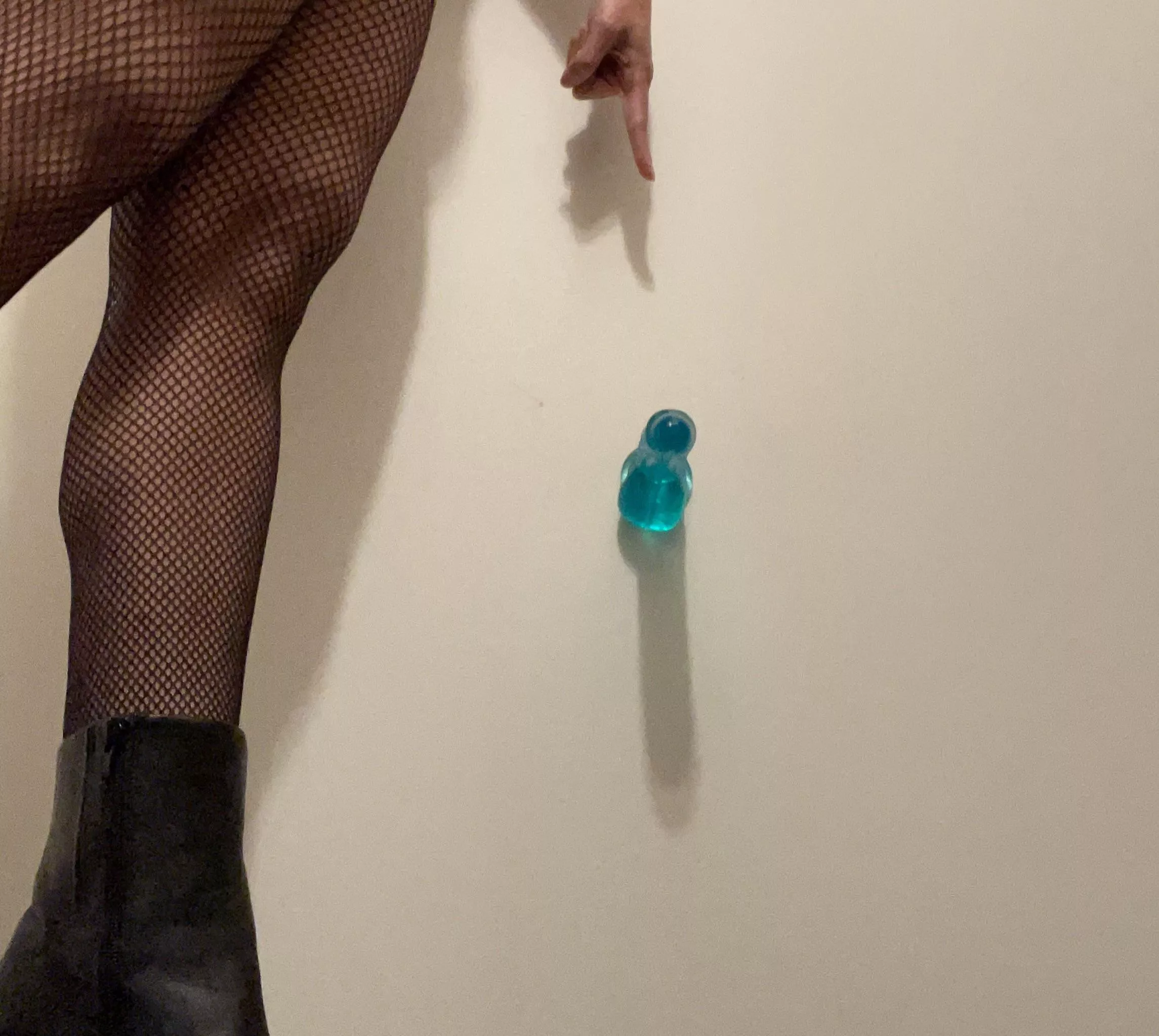 Are you ready for your lesson? 🐶