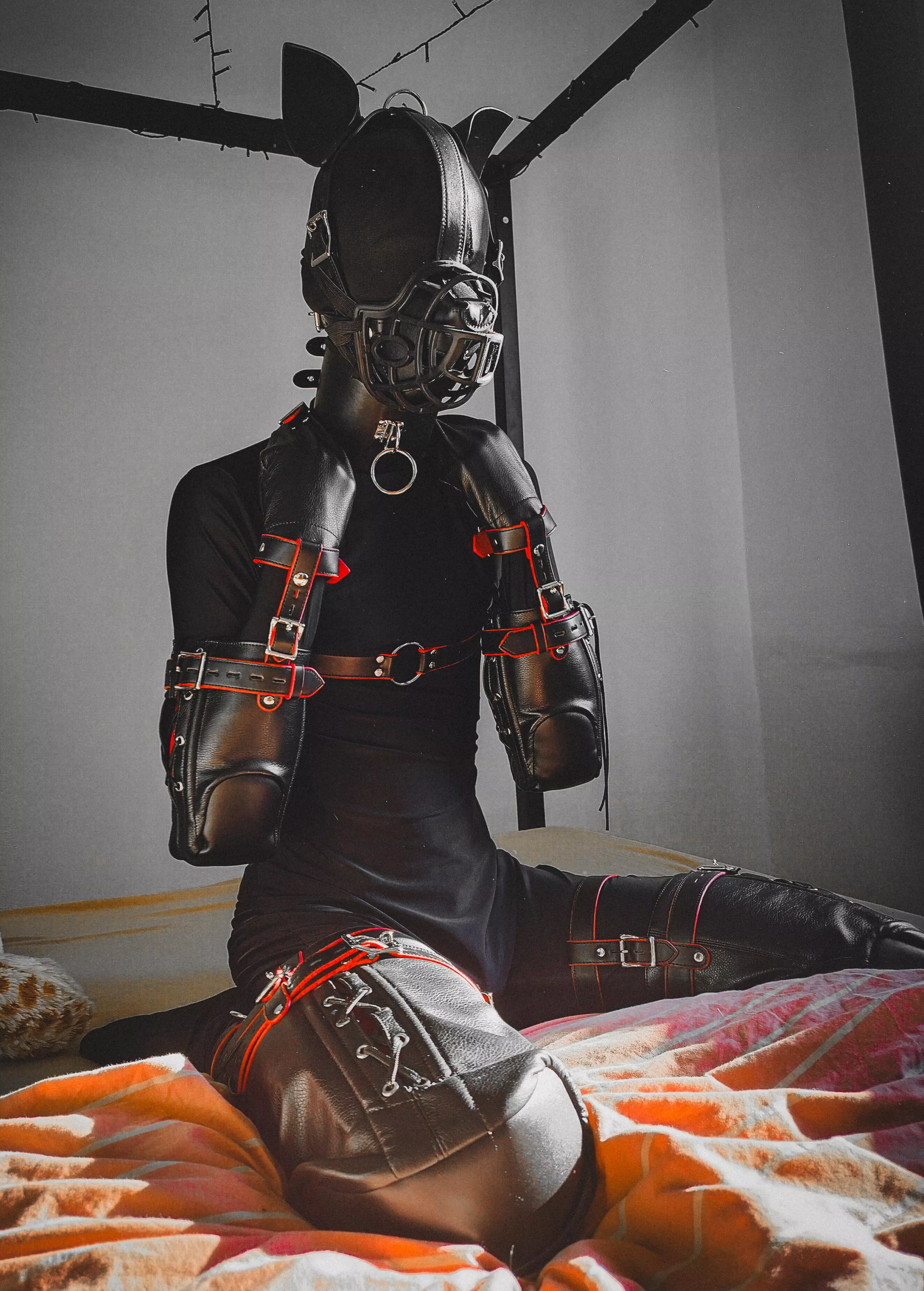 Boud up and muzzled 🐶