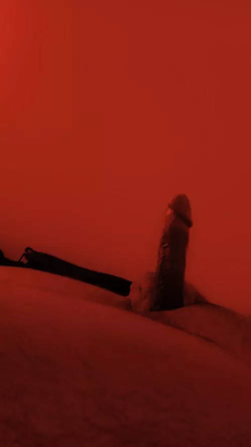 Brave enough to challenge the [M]orning wood ?