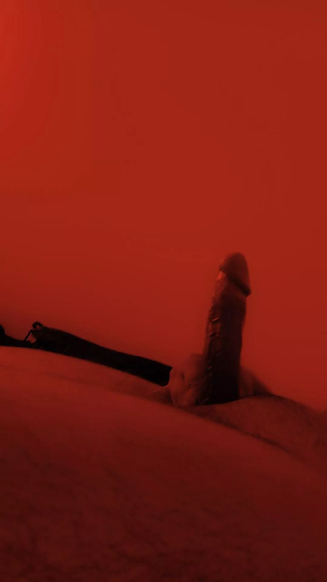 Brave enough to challenge the [M]orning wood ?