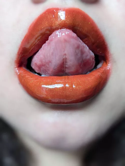 Day 11- Apple Cider 🍎✨