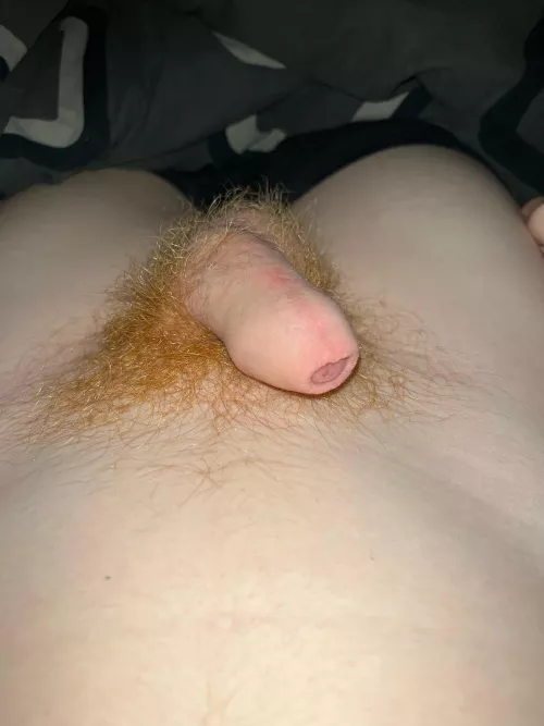 Did you like this small one from a young guy ?