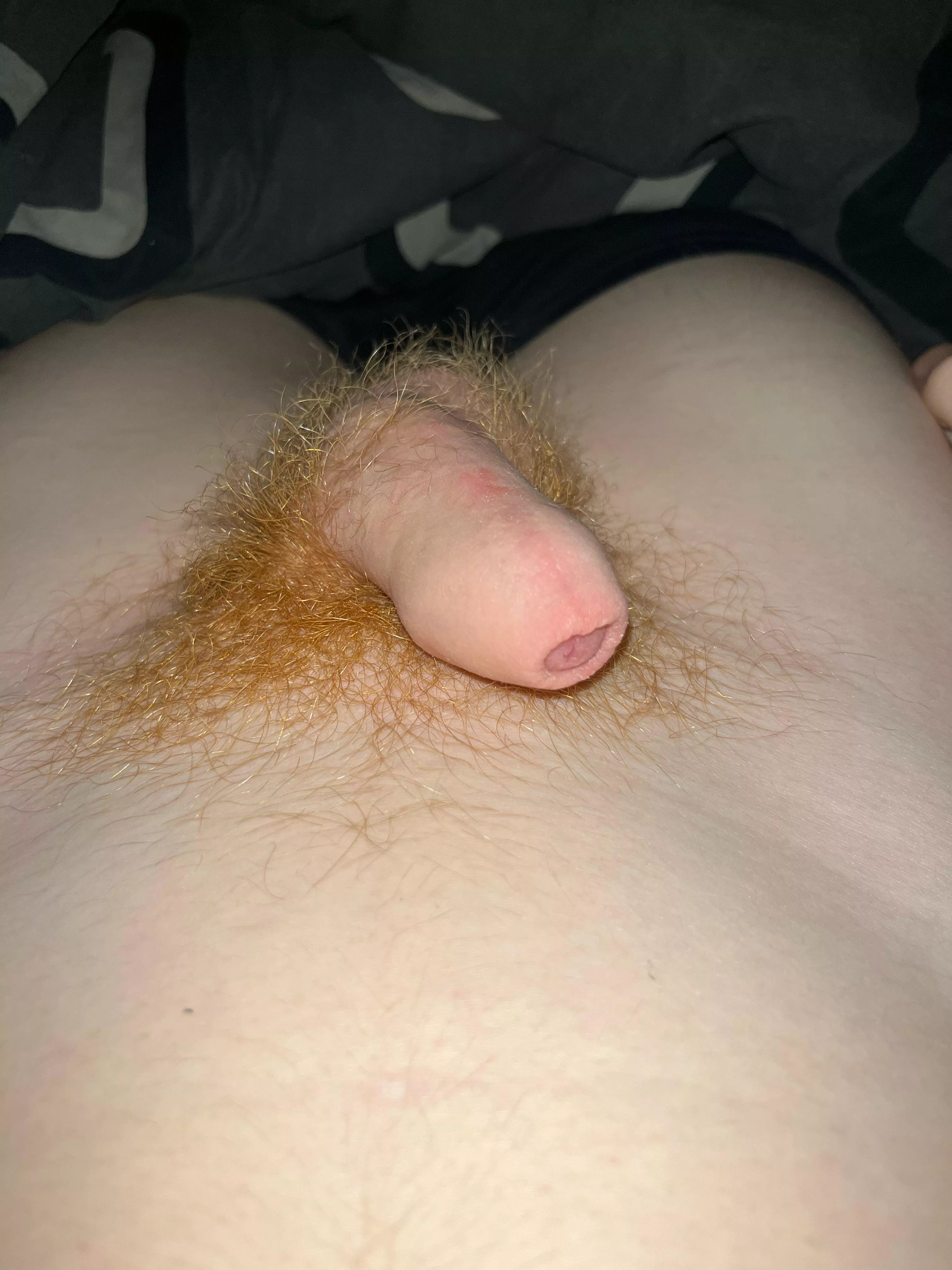 Did you like this small one from a young guy ?