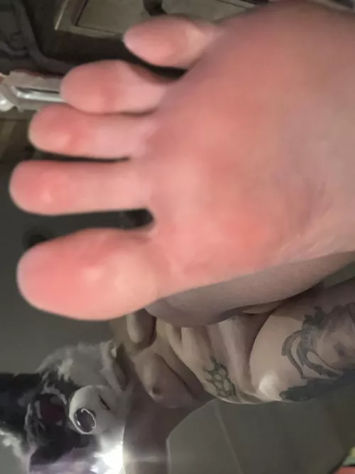 Don’t make me step on you