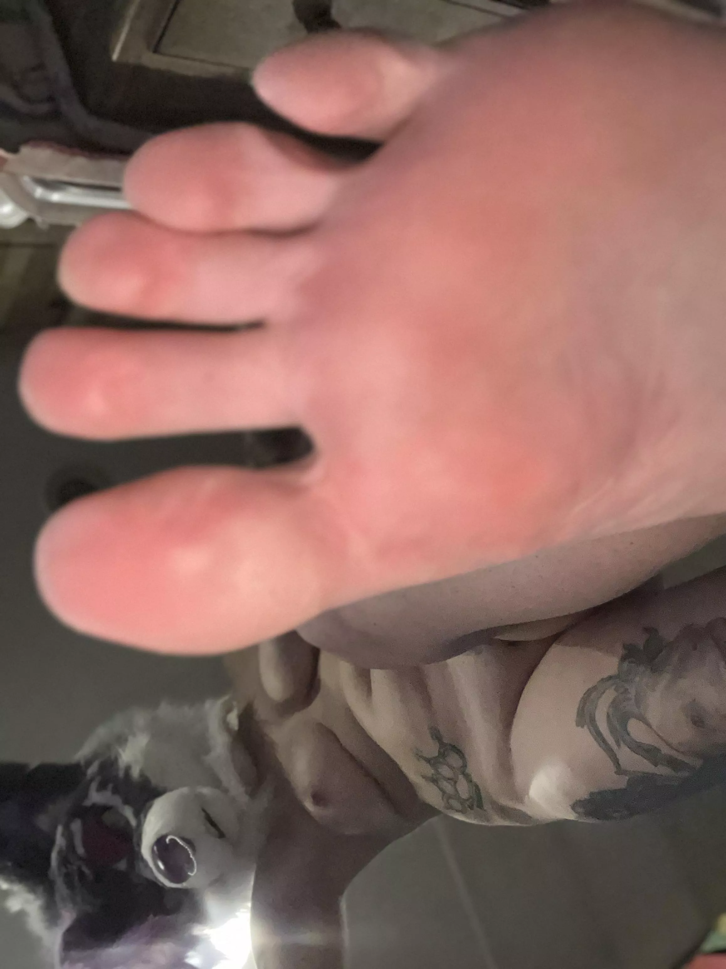 Don’t make me step on you