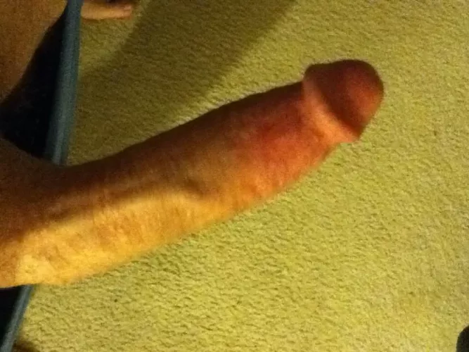 Experienced Bull 44, Flint area