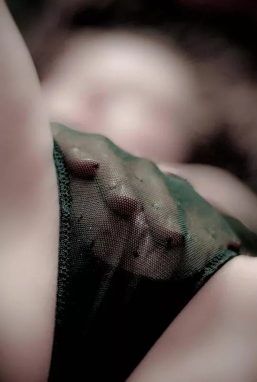 Exterminate the brutes